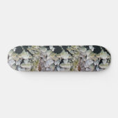 Wilde Pilze Skateboard (Horizontal)