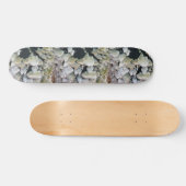 Wilde Pilze Skateboard (Horizontal)