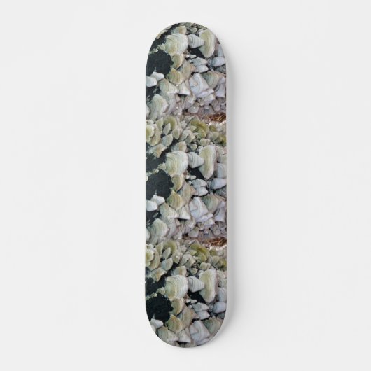 Wilde Pilze Skateboard (Vorne)
