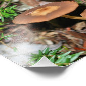 Wilde Pilze und Moos 10x8 Natur Fotodruck (Ecke)