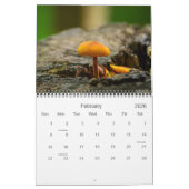 Wilde Pilze und Naturfotografie Kalender (Feb 2026)