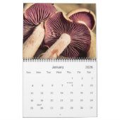 Wilde Pilze und Naturfotografie Kalender (Jan 2026)