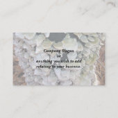 Wilde Pilze Visitenkarte (Rückseite)