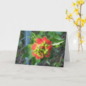 Wilde Poinsettia auf einmaliger Karte (Gelbe Blume)