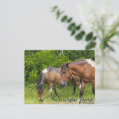 Wilde Ponys auf der Insel Assateauge Postkarte (Stehend Vorderseite)