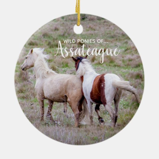 Wilde Ponys der Assateague Weihnachtsverzierung Keramik Ornament (Hinten)