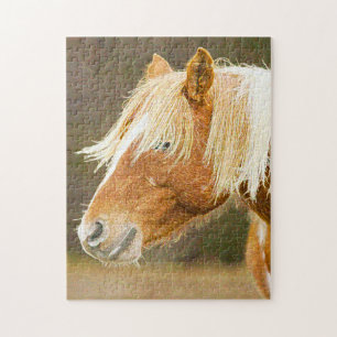 Wilde Ponys West Virginia. Puzzle