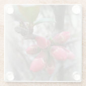 wilde Quitten blühen Glasuntersetzer (Rückseite)