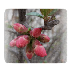 wilde Quitten blühen Schneidebrett