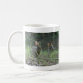 Wilde Rabbits Eastern Cottontail Pair Apparel Gesc Kaffeetasse (Links)