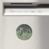 Wilde Rabbits Eastern Cottontail Pair Apparel Gesc Magnet (In Situ (Geschirrspüler))