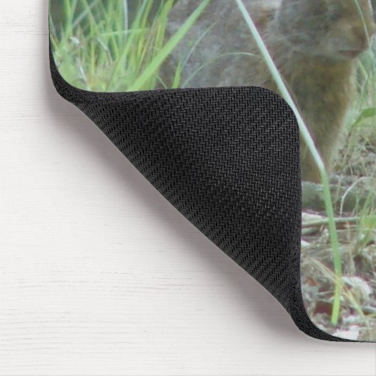 Wilde Rabbits Eastern Cottontail Pair Apparel Gesc Mousepad (Ecke)