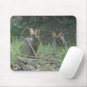 Wilde Rabbits Eastern Cottontail Pair Apparel Gesc Mousepad (Mit Mouse)