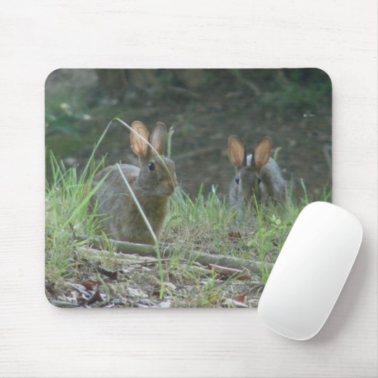Wilde Rabbits Eastern Cottontail Pair Apparel Gesc Mousepad (Mit Mouse)