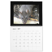 Wilde Ratten - Kalender 2014 (Mär 2027)