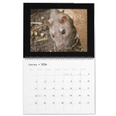 Wilde Ratten - Kalender 2015 (Jan 2026)