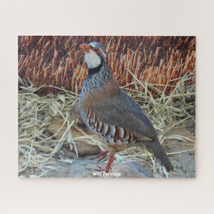 Wilde Rebhuhn Puzzle