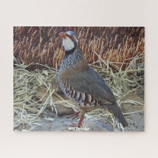 Wilde Rebhuhn Puzzle (Horizontal)