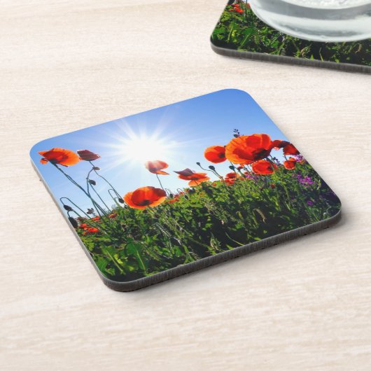 Wilde Red Poppies-Blume Getränkeuntersetzer (Linke Seite)