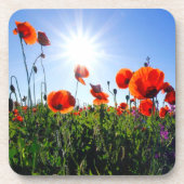 Wilde Red Poppies-Blume Getränkeuntersetzer (Vorderseite)