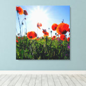 Wilde Red Poppies-Blume Leinwanddruck (Insitu (Holzboden))
