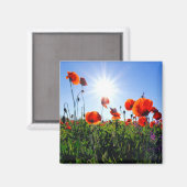 Wilde Red Poppies-Blume Magnet (Vorderseite/Rückseite)