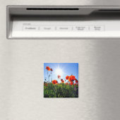 Wilde Red Poppies-Blume Magnet (In Situ (Geschirrspüler))
