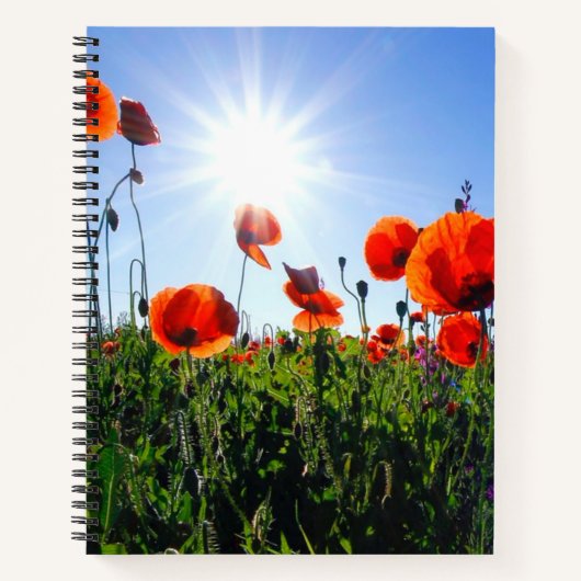Wilde Red Poppies-Blume Notizblock (Vorderseite)