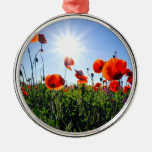 Wilde Red Poppies-Blume Ornament Aus Metall