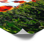 Wilde Red Poppies-Blume Poster (Ecke)