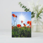 Wilde Red Poppies-Blume Postkarte (Stehend Vorderseite)