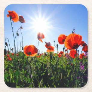 Wilde Red Poppies-Blume Rechteckiger Pappuntersetzer