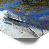 wilde Reflexion Poster (Ecke)