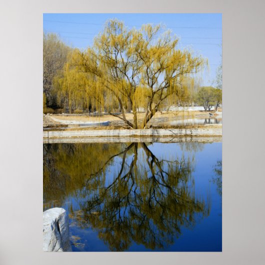 wilde Reflexion Poster (Vorne)