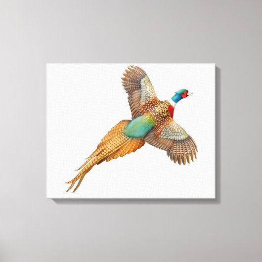 Wilde Ringneck Pheasant ummantelte Canvas Leinwanddruck (Vorderseite)