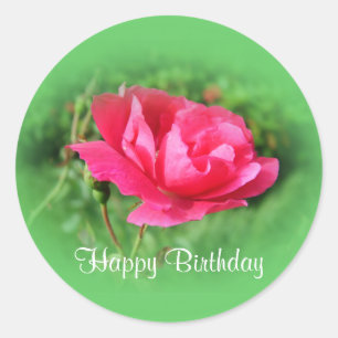 wilde rosa Blüten Runder Aufkleber