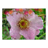 Wilde Rose (Vorderseite (Horizontal))