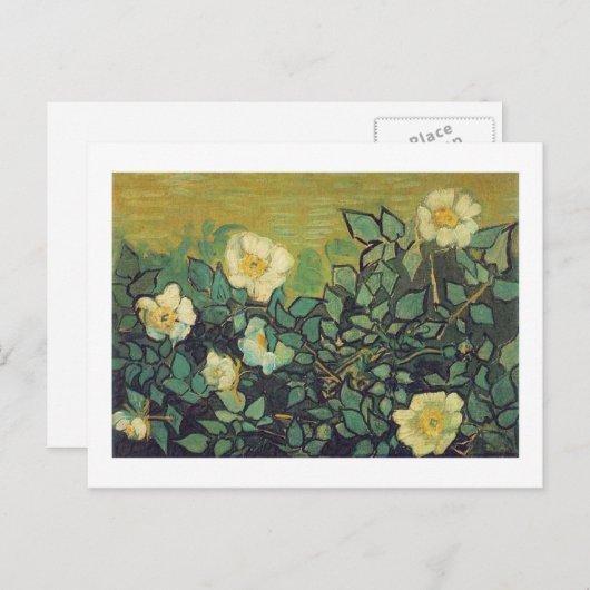 Wilde Rose,1890. Vincent van Gogh. Postkarte (Vorne/Hinten)