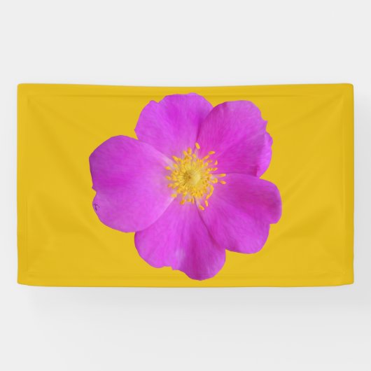 Wilde Rose 2 Banner (Horizontal)