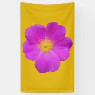 Wilde Rose 2 Banner