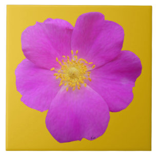 Wilde Rose 2 Fliese