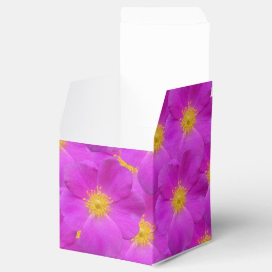 Wilde Rose 2 Geschenkschachtel (Geöffnet)