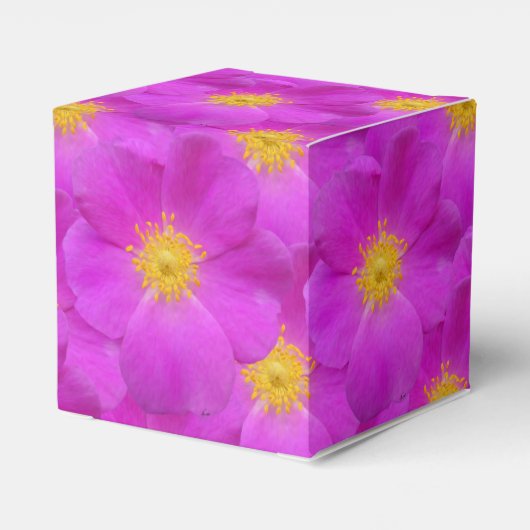 Wilde Rose 2 Geschenkschachtel (Rückseite)