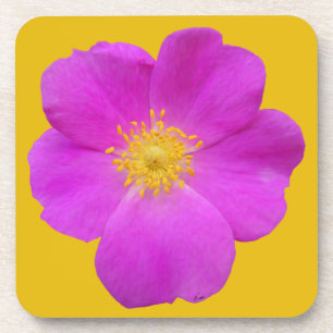 Wilde Rose 2 Getränkeuntersetzer