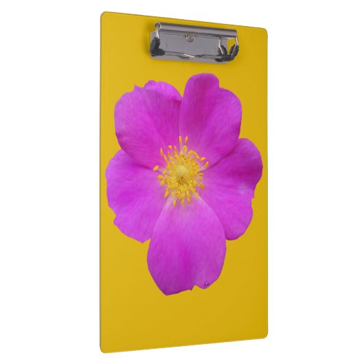 Wilde Rose 2 Klemmbrett (Rechts)