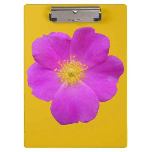 Wilde Rose 2 Klemmbrett (Vorderseite)