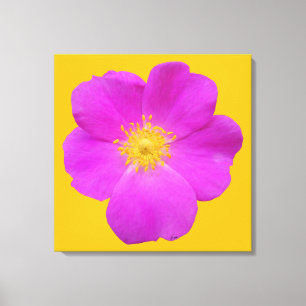 Wilde Rose 2 Leinwanddruck