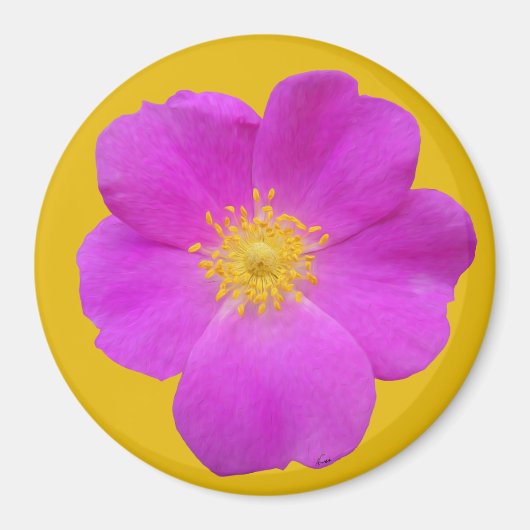Wilde Rose 2 Magnet (Vorne)