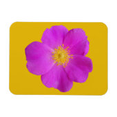 Wilde Rose 2 Magnet (Horizontal)