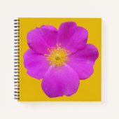 Wilde Rose 2 Notizblock (Vorderseite)